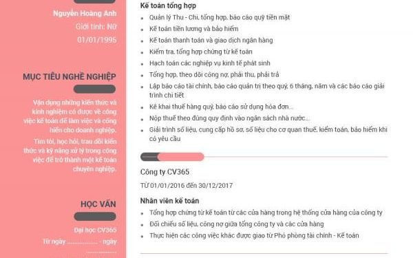 Tổng hợp 10+ mẫu Cover Letter Tiếng Việt cá tính nhất 2020